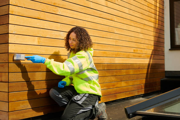 Best Custom Siding Design  in Rio Hondo, TX